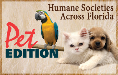 Pet Edition: Human Societies Across Florida