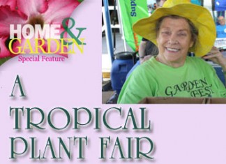 A Tropical Plant Fair