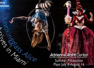 Lookingglass Alice Arrives in Miami