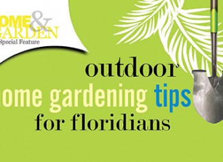 Outdoor Home Gardening Tips for Floridians