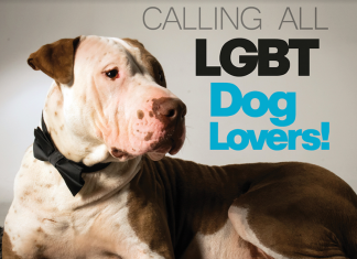ResQMe is Calling All LGBTQ Dog Lovers ResQMe