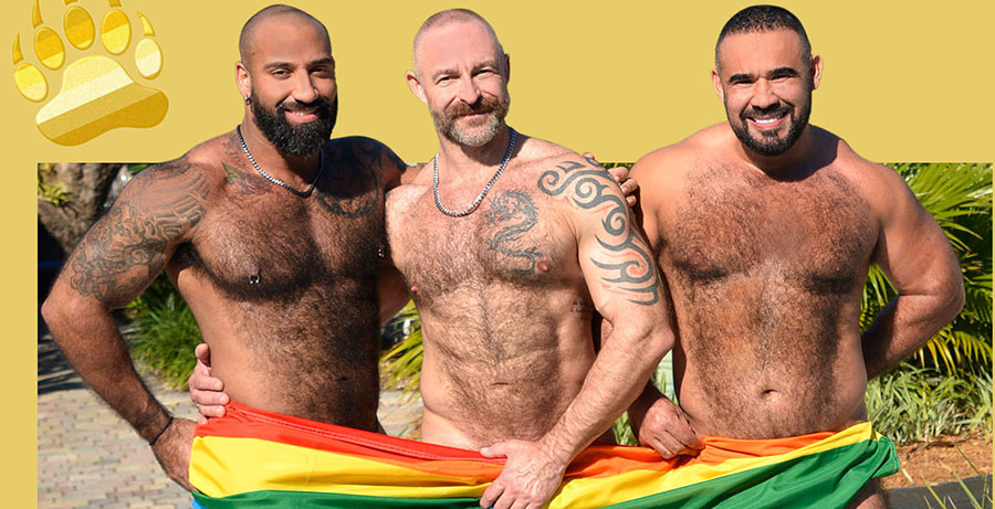 Bears-Takeover-WIlton-Cover