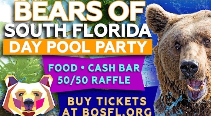 Bears Of South Florida Emerge From Hybernation With Pool Party At Solstice March 9