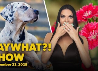 The FayWhat?! Show for the week of September 23, 2025 | FayWhat?!