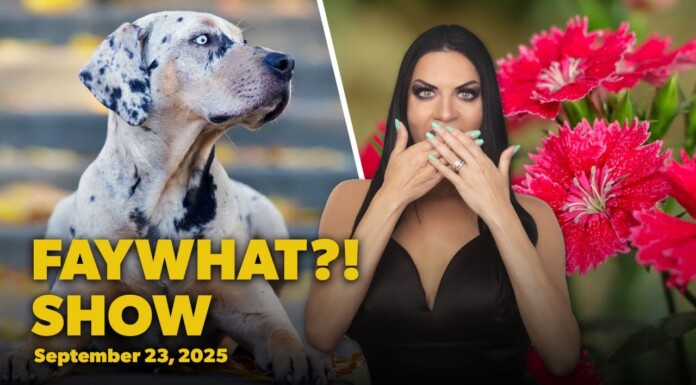The FayWhat?! Show for the week of September 23, 2025 | FayWhat?!