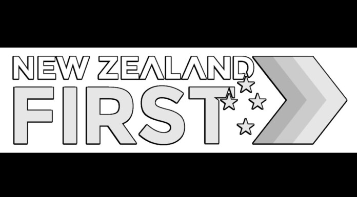 New Zealand Indefinitely Bans Puberty Blockers as Far-Right Party Claims “War on Woke” Win