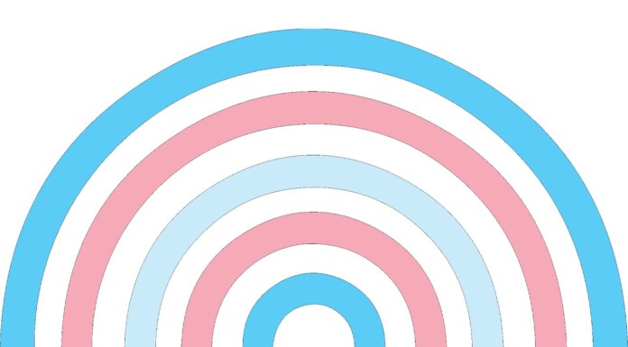 After a Brutal 2025, Signs of Hope for Trans Americans in 2026