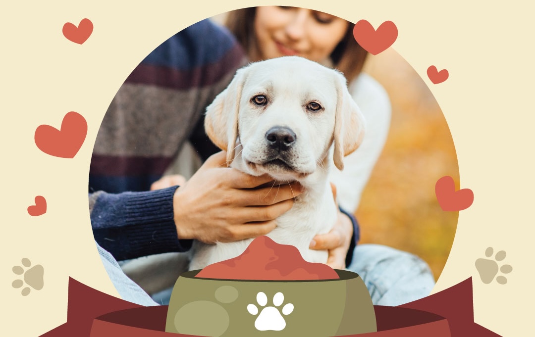 Galleria Mall Presents “Love at First Bark” – Saturday, February 14