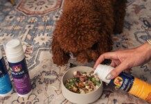 Brown curly dog eating from a bowl as a person pours a supplement into it from a bottle nearby on a patterned rug.