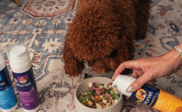 Brown curly dog eating from a bowl as a person pours a supplement into it from a bottle nearby on a patterned rug.