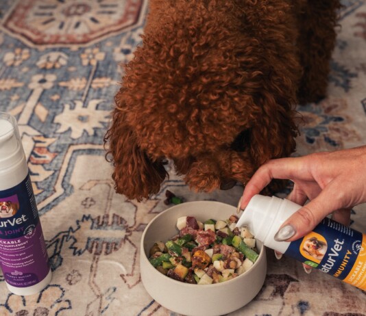 Healthy Habits Made Easy: Update Your Pet’s Health and Wellness Routine Without Fuss Brown curly dog eating from a bowl as a person pours a supplement into it from a bottle nearby on a patterned rug.