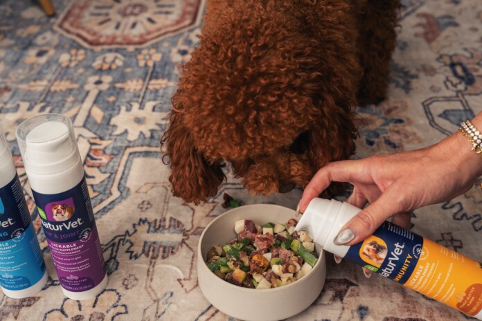 17690_B Brown curly dog eating from a bowl as a person pours a supplement into it from a bottle nearby on a patterned rug.