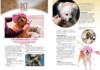 Hotspots Magazine Highlights Grooming Tips to Keep Your Pup Pride-Ready