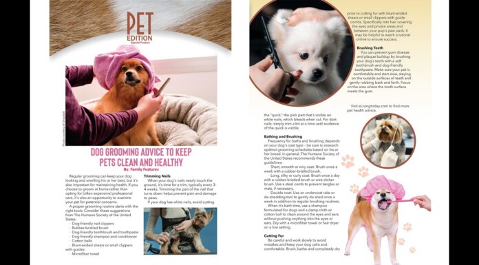 Hotspots Magazine Highlights Grooming Tips to Keep Your Pup Pride-Ready