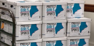 Stacked white boxes with a blue outline map of Maine and the words 'Protect Girls in Maine Sports'.