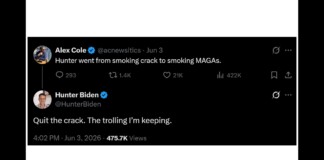 Twitter thread screenshot: Alex Cole posts 'Hunter went from smoking crack to smoking MAGAs.' Hunter Biden replies 'Quit the crack. The trolling I’m keeping.'