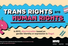 Poster declaring 'Trans rights are human rights' with a pink megaphone, wavy blue banner, and NYC branding; promotes anti-discrimination law in NYC.