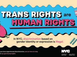 Poster declaring 'Trans rights are human rights' with a pink megaphone, wavy blue banner, and NYC branding; promotes anti-discrimination law in NYC.