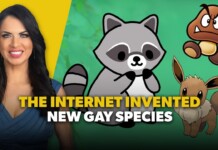 Thumbnail: smiling woman on the left with a yellow background, cartoon raccoon, mushroom, and Eevee-like creature on a green backdrop, and bold yellow-and-white text reading 'THE INTERNET INVENTED NEW GAY SPECIES'.