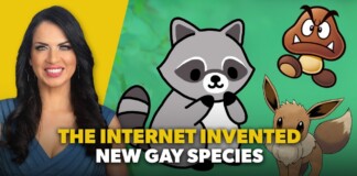 Thumbnail: smiling woman on the left with a yellow background, cartoon raccoon, mushroom, and Eevee-like creature on a green backdrop, and bold yellow-and-white text reading 'THE INTERNET INVENTED NEW GAY SPECIES'.