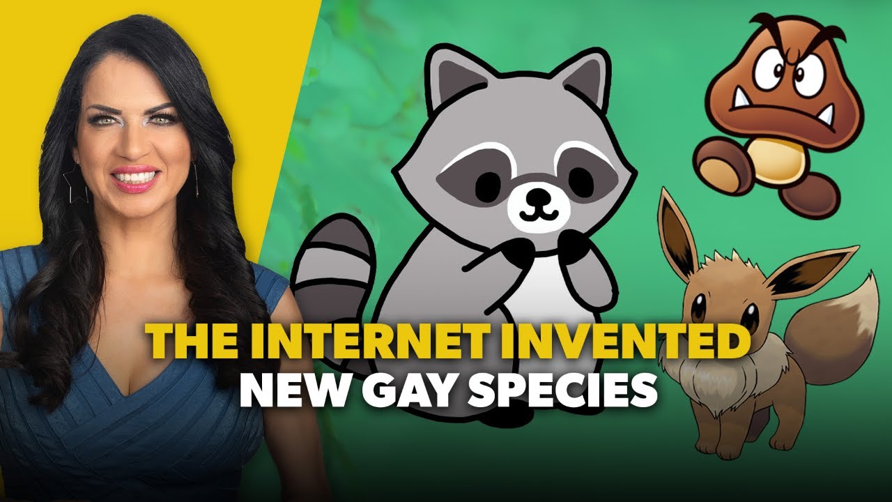 The Internet Invented New Gay Species Thumbnail: smiling woman on the left with a yellow background, cartoon raccoon, mushroom, and Eevee-like creature on a green backdrop, and bold yellow-and-white text reading 'THE INTERNET INVENTED NEW GAY SPECIES'.