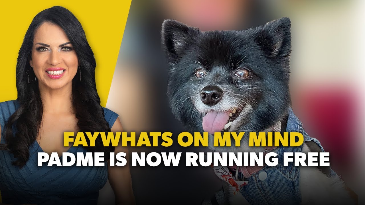 FayWhat’s On My Mind : Padme Video thumbnail: smiling woman on the left and a black fluffy dog on the right, with bold yellow and white text overlaid saying 'FAYWHATS ON MY MIND' and 'PADME IS NOW RUNNING FREE'.