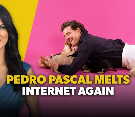 Thumbnail with a smiling woman on yellow left and a man with puppies on pink right, bold caption 'PEDRO PASCAL MELTS INTERNET AGAIN'