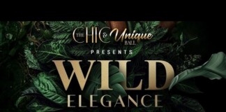 Event poster for a tropical-themed ball titled 'Wild Elegance' by The Hi & Unique, with date and venue details shown: Saturday, Oct 24, 2026 at Seminole Hard Rock Hotel & Casino Hollywoody.
