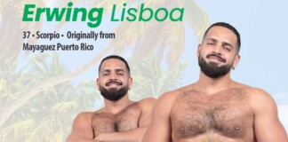 Poster-style image of two muscular men in swim briefs on a sunny tropical beach with palm trees; large green text reads 'Erwing Lisboa' with smaller black lines listing origin details.