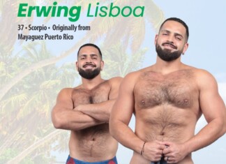 Hotspots Hotties: Erwing Lisboa Poster-style image of two muscular men in swim briefs on a sunny tropical beach with palm trees; large green text reads 'Erwing Lisboa' with smaller black lines listing origin details.